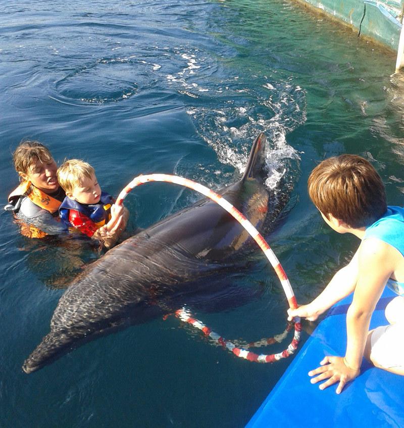 Terapia cu delfini - revoluție medicală sau escrocherie? 