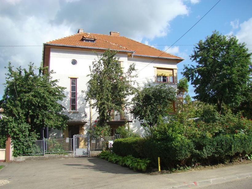 Tao - omul, filosoful, poetul. 13 decenii de la nașterea celui mai deștept ardelean 18954932