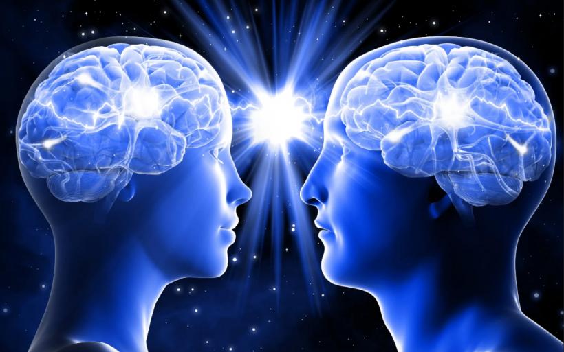 Moleculă care blochează moartea celulelor, posibil tratament pentru Parkinson și Alzheimer