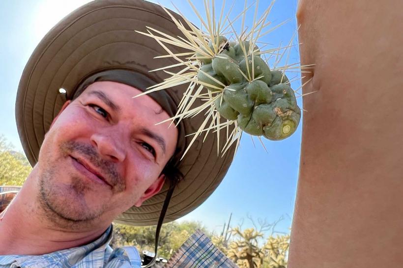 Ocean, narat de David Attenborough, proiecție în premieră la Brașov în cadrul LYNX Festival 18955554