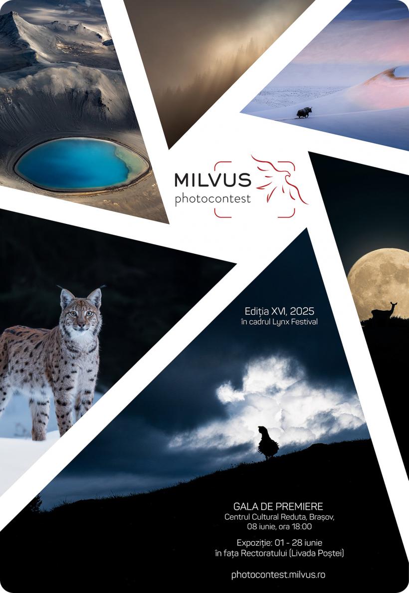 Ocean, narat de David Attenborough, proiecție în premieră la Brașov în cadrul LYNX Festival 18955559