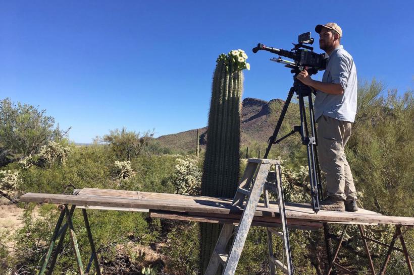 Ocean, narat de David Attenborough, proiecție în premieră la Brașov în cadrul LYNX Festival 18955561