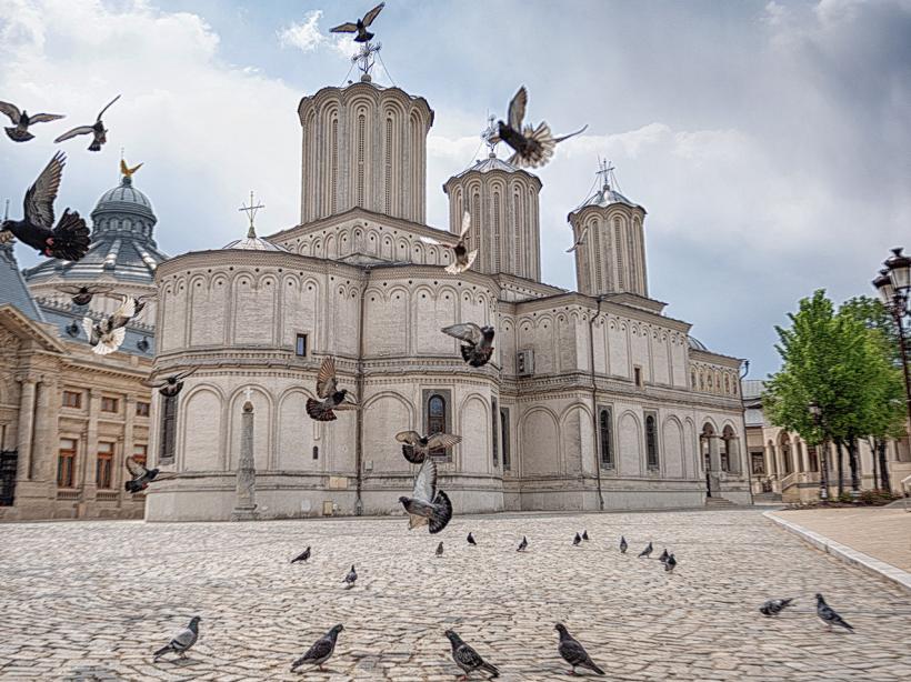 De unde provine numele satului Garoafa, locul de baștină al lui George Simion  18955901