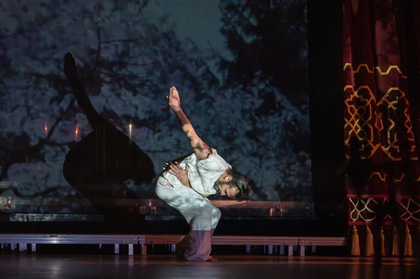 Hoinar.Odyssey și-a încheiat călătoria în aplauzele publicului. Hoinar. Side by Side continuă în București  18955779