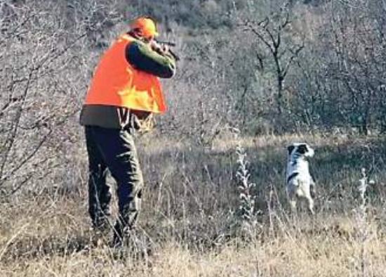 Partidele de vânătoare, anunțate cu două zile înainte pe site-ul primăriei, după ce un bărbat a fost împușcat mortal în timp ce aduna lemne din pădure
