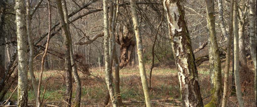 Instalația audio-video Light That Never Quite Returns the Same, semnată de Andreea Cristina Borțun, a avut prima prezentare publică 18956211
