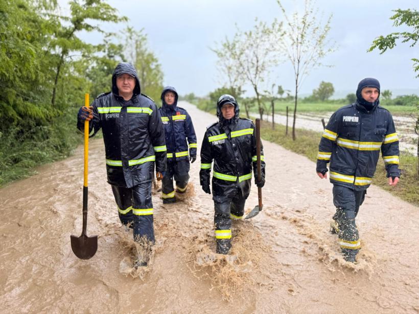 Prăpăd în România: Gospodării, terenuri și o fermă afectate de inundații. Sute de animale au fost evacuate