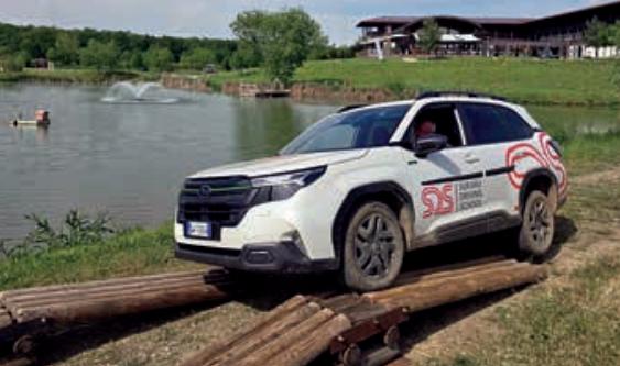 Ce mașină merită să-ți cumperi acum 18956368