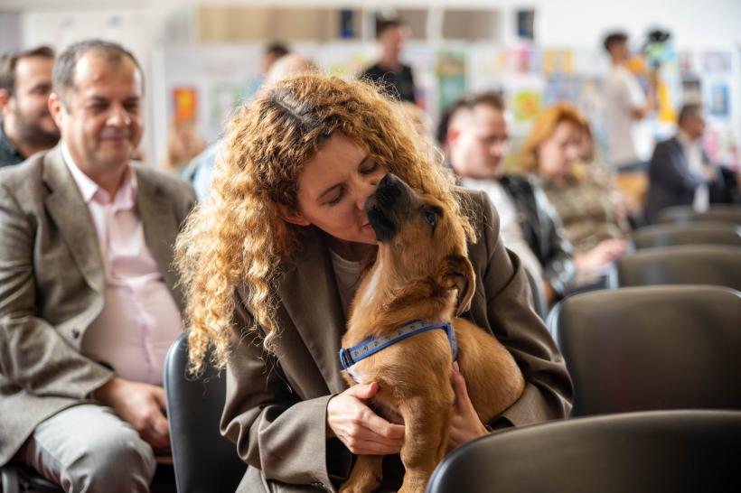 „Ora cu și pentru animale” ar putea deveni materie opțională în școlile din România. Ilfov dă startul unei inițiative educaționale cu impact național