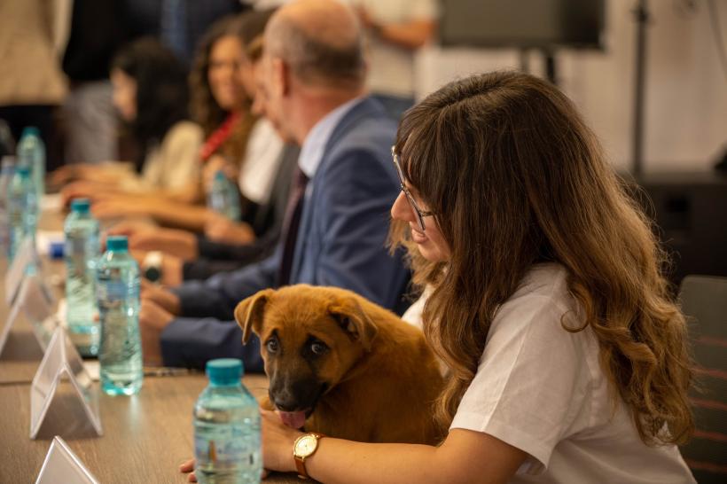 „Ora cu și pentru animale” ar putea deveni materie opțională în școlile din România. Ilfov dă startul unei inițiative educaționale cu impact național 18956425