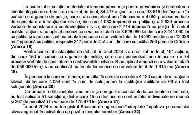 Body-cam-uri pentru pădurari în lupta cu hoții de lemne 18956675