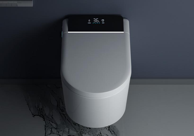 Tipuri de vase WC - Ce să alegi pentru confort și durabilitate