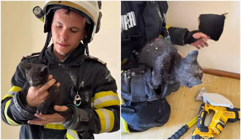 Misiune cu final fericit la Aiud: Pompierii au salvat un pui de pisică și l-au adoptat