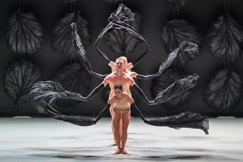 Operă și balet, din nou în programul Festivalului Enescu 18956951