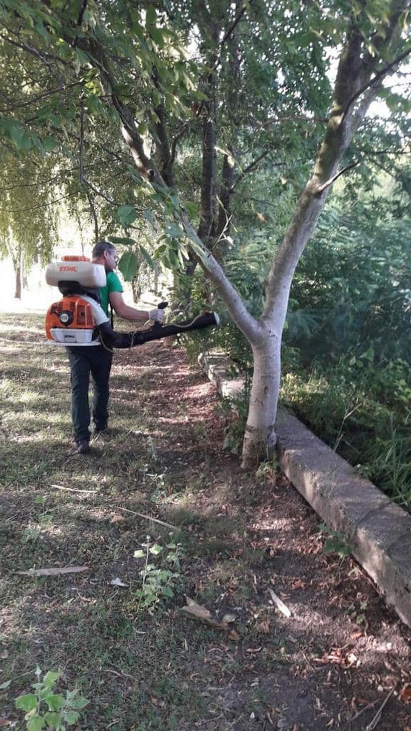 Marţi începe în Capitală al patrulea tratament contra ţânţarilor şi căpuşelor în parcuri, locuri de joacă, zone cu vegetaţie