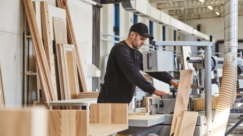 Relansarea industriei de prelucrare a lemnului ar aduce mulți bani la bugetul statului 18957660