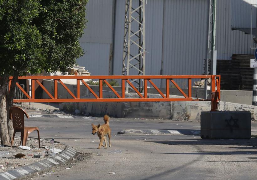 Israelul, în alertă maximă: Poliția cere cetățenilor să stea departe de zonele lovite de rachete. Muniții iraniene au căzut în Tel Aviv