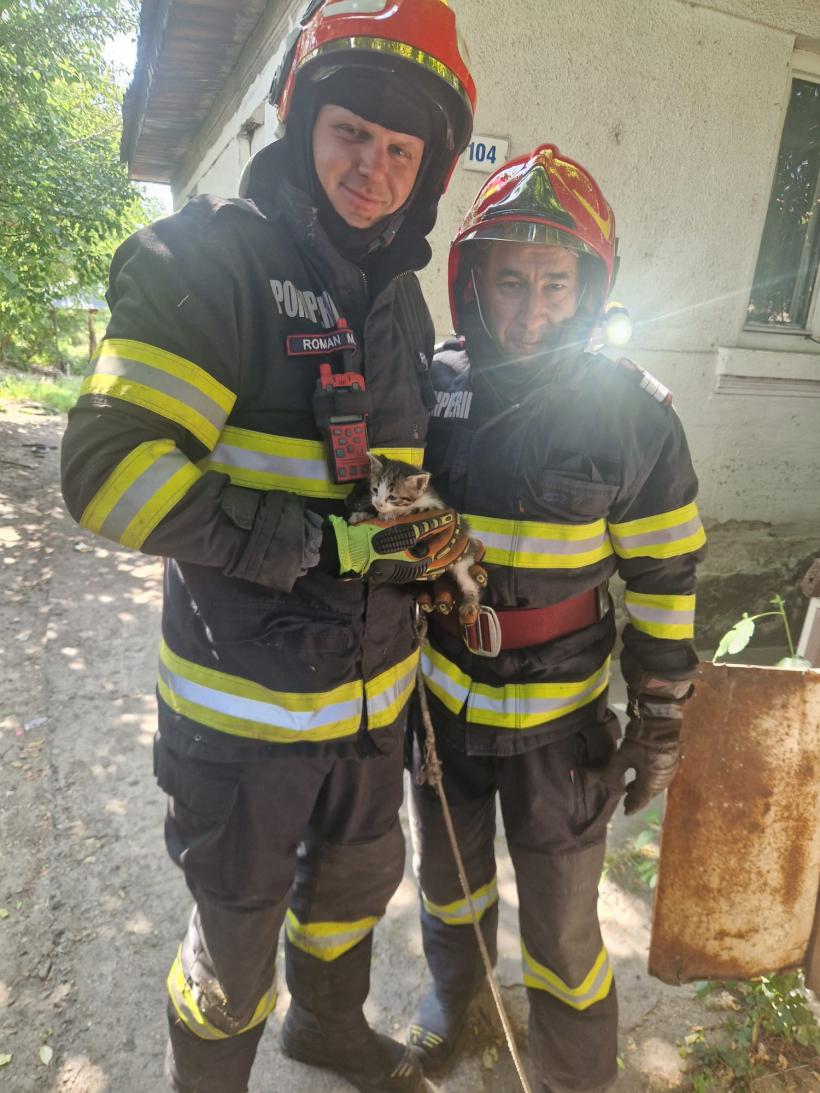 Pisoi căzut într-o fântână de patru metri, salvat de pompieri