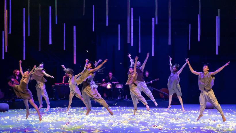 Spectacolele companiilor israeliene Vertigo Dance Company şi Kibbutz Contemporary Dance Company din cadrul FITS 2025 au fost anulate