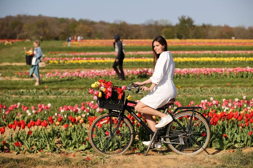 4 Zodii primesc vești bune pe 18 Iunie 2025: Luna în Berbec aduce schimbarea