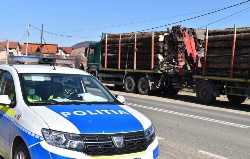 Economiile bugetare bagă la apă Garda Forestieră  18958975