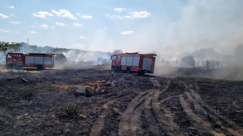 Incendiu uriaș în Giurgiu. Un parc auto și o gospodărie au luat foc