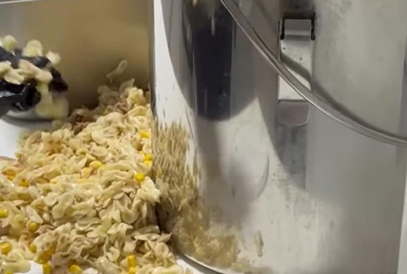 Dezastru la grădinița unde s-au îmbolnăvit 11 copii și o educatoare: Furnizorul nu era autorizat pentru catering