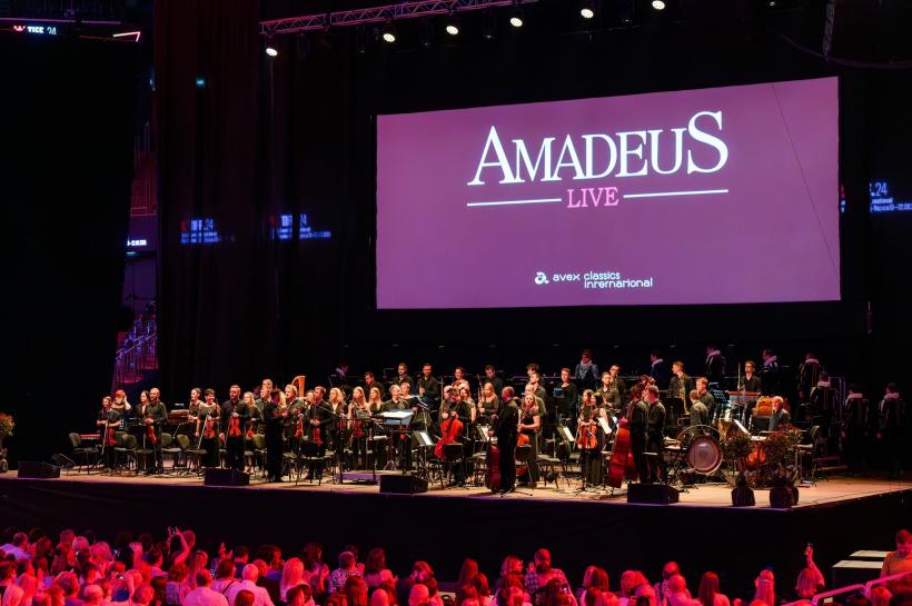 125.000 de spectatori la TIFF.24: care au fost cele mai vizionate filme 18960081