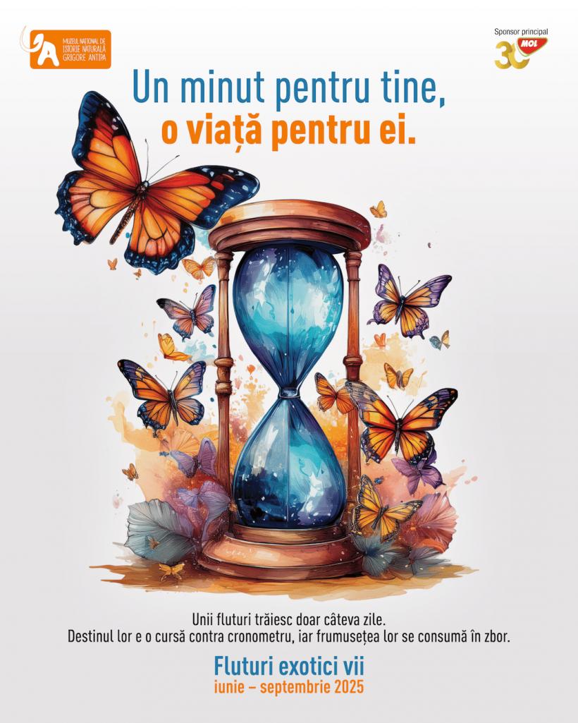 „Un minut pentru tine, o viață pentru ei” – s-a deschis sera cu fluturi tropicali vii de la Muzeul Antipa