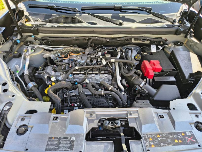 Bigster, Duster pe steroizi 18960325