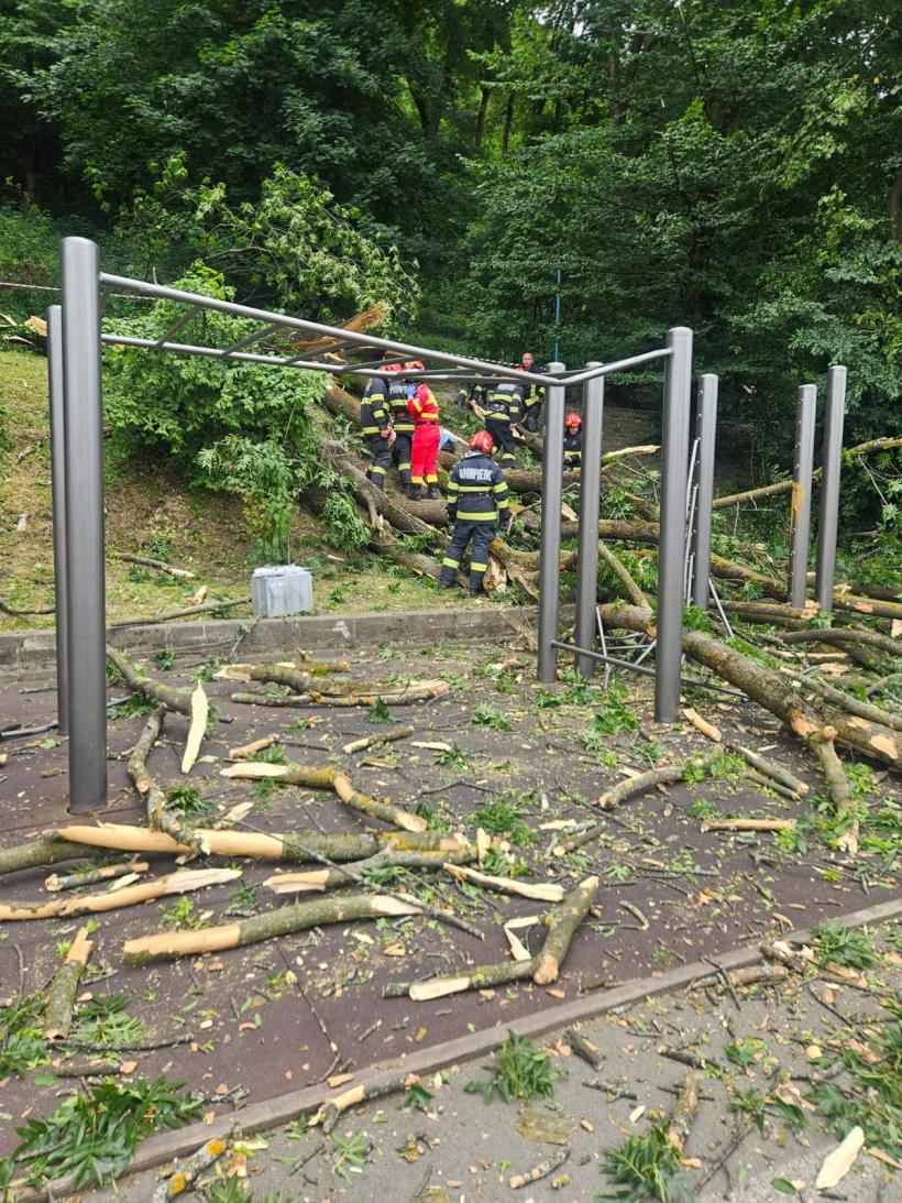 Incident grav pe în Brașov: Un copac a căzut peste două persoane