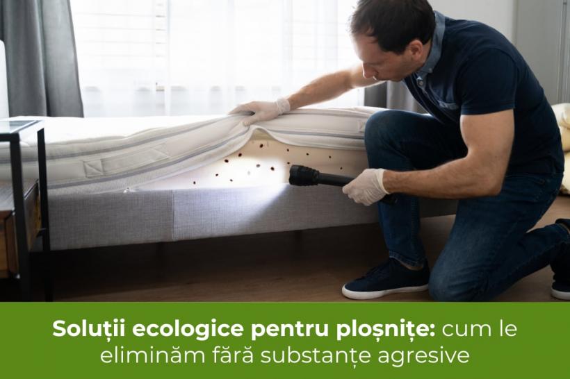 Soluții ecologice pentru ploșnițe: cum le eliminăm fără substanțe agresive