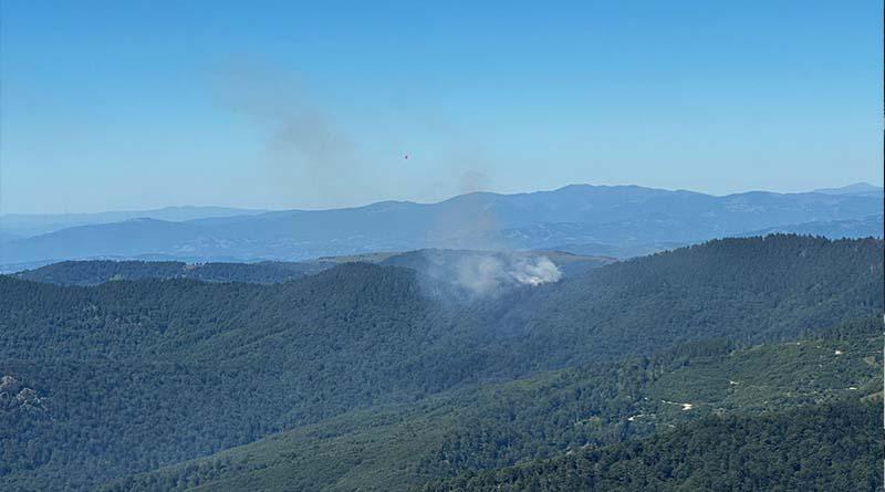 Incendiu masiv de fond forestier în Masivul Țibleș