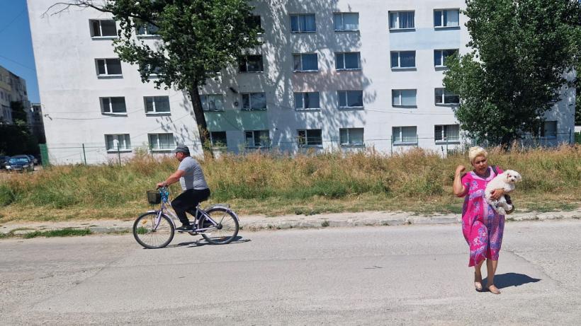 Latră pantera-n Giurgiu! Isterie: Sosirea animalului de pradă în ghetoul Istru  18961095