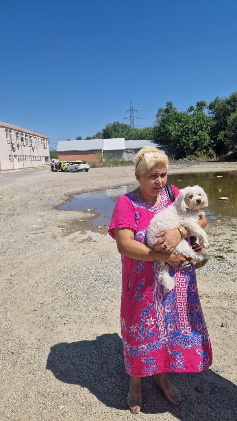 Latră pantera-n Giurgiu! Isterie: Sosirea animalului de pradă în ghetoul Istru  18961096