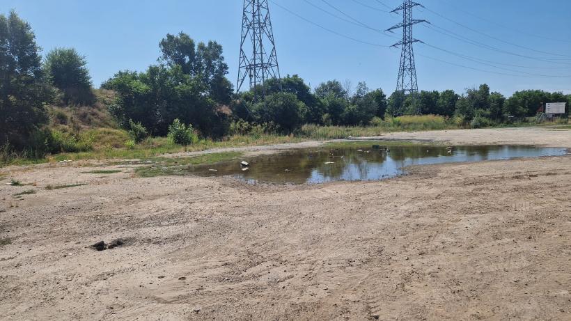 Latră pantera-n Giurgiu! Isterie: Sosirea animalului de pradă în ghetoul Istru  18961097