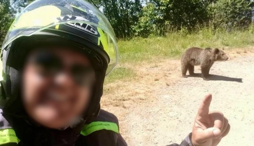 Un motociclist italian a fost ucis de urs pe Transfăgărășan. Turistul și-a făcut poze cu sălbăticiunea care l-a sfâșiat 18961434