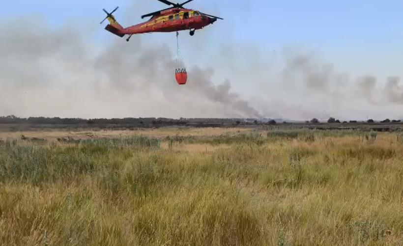 Focul ucigaș: Sute de hectare pârjolite și victime în stare gravă 18961891