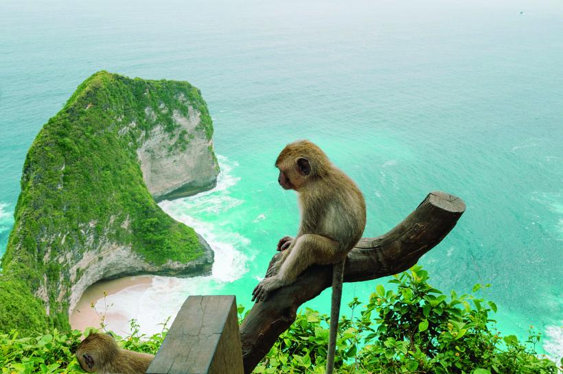 Peste Ocean, în America Latină 18962397