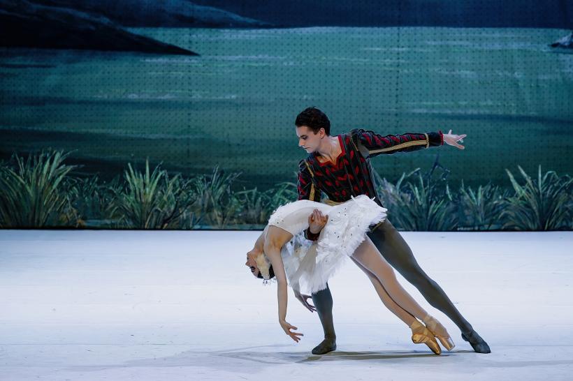 „LACUL LEBEDELOR,” cel mai iubit balet al tuturor timpurilor, pe 2 februarie 2026 la Sala Palatului 18962297