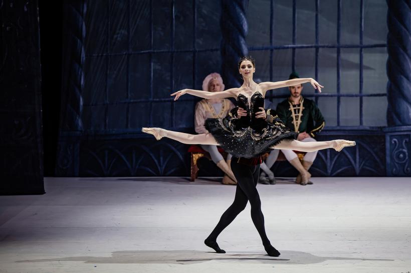 „LACUL LEBEDELOR,” cel mai iubit balet al tuturor timpurilor, pe 2 februarie 2026 la Sala Palatului