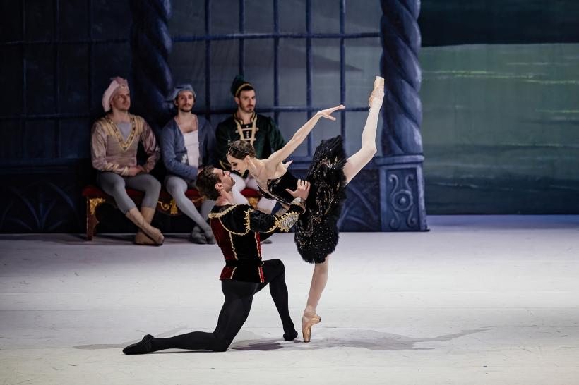 „LACUL LEBEDELOR,” cel mai iubit balet al tuturor timpurilor, pe 2 februarie 2026 la Sala Palatului 18962299