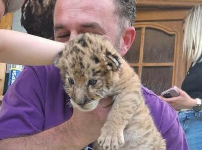 Animal hibrid extrem de rar, crescut fără autorizații în Suceava