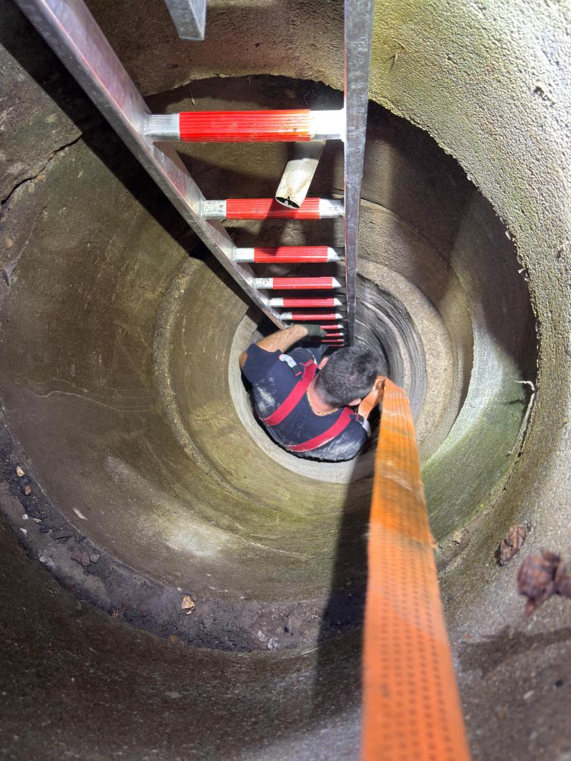 Doi pui de câine, salvați dintr-o fântâna îngustă și adâncă de nouă metri 18962702