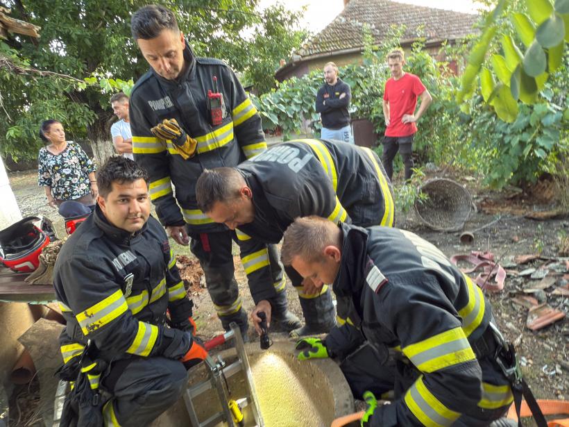 Doi pui de câine, salvați dintr-o fântâna îngustă și adâncă de nouă metri 18962703