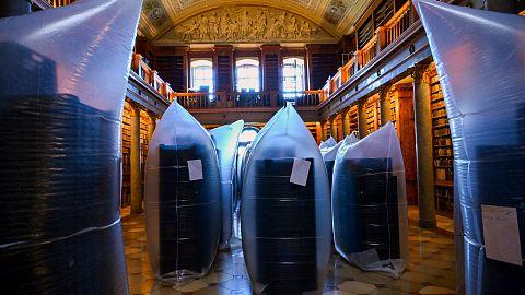 Invazia gândacilor: Biblioteca milenară din patrimoniul UNESCO, atacată de insecte