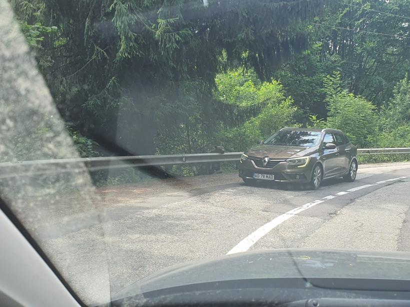 Secretul mortal de pe Transfăgărășan: „Ursul nu e pisică”. Bâlciul „milogilor” de la Vidraru 18963074