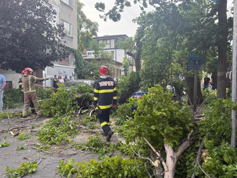 Copaci căzuţi şi stâlpi doborâți în Bucureşti şi Ilfov în urma furtunii 18963417