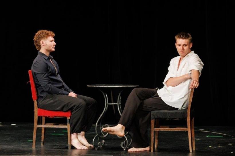 27 de actori au câștigat preselecția pentru Gala HOP – Gala Tânărului Actor 2025 18963535