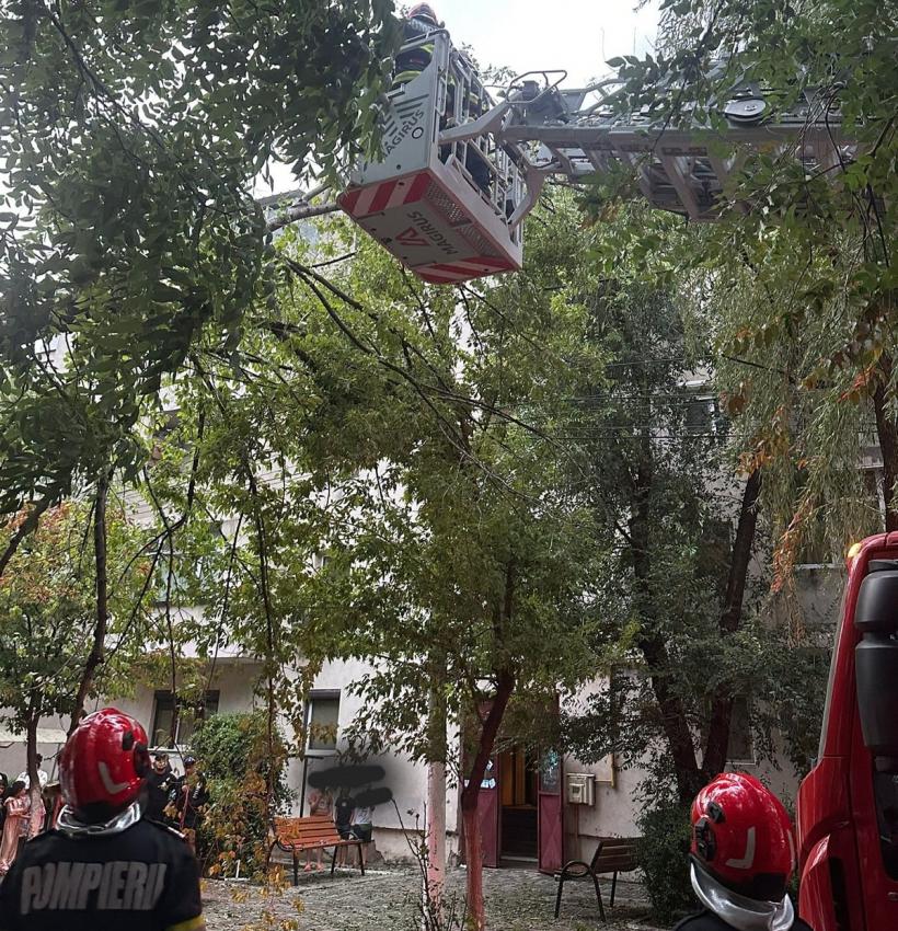 Bucureștiul și alte 60 de localități din 14 județe, afectate de vijelii: un mort, doi răniți 18963483